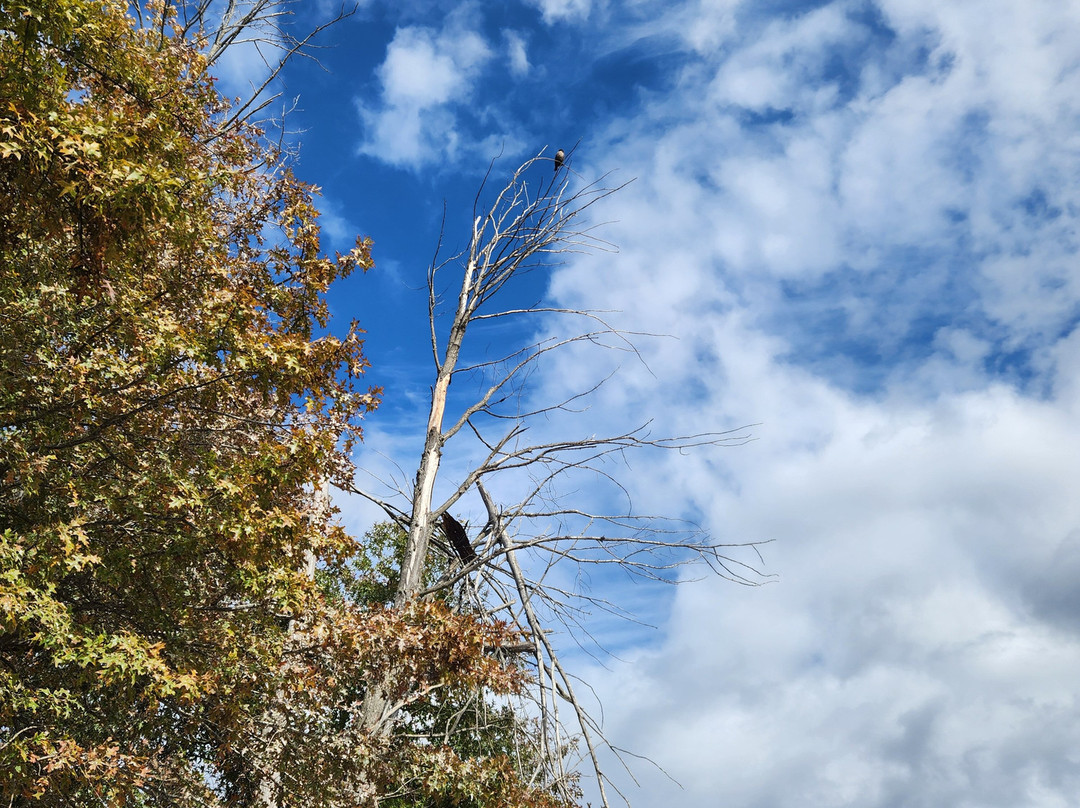 Monroe Lake-布卢明顿必去景点
