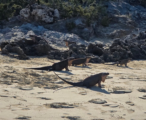 Island Routes-拿骚必去景点