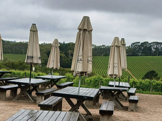 T'Gallant Vineyard-Main Ridge必去景点