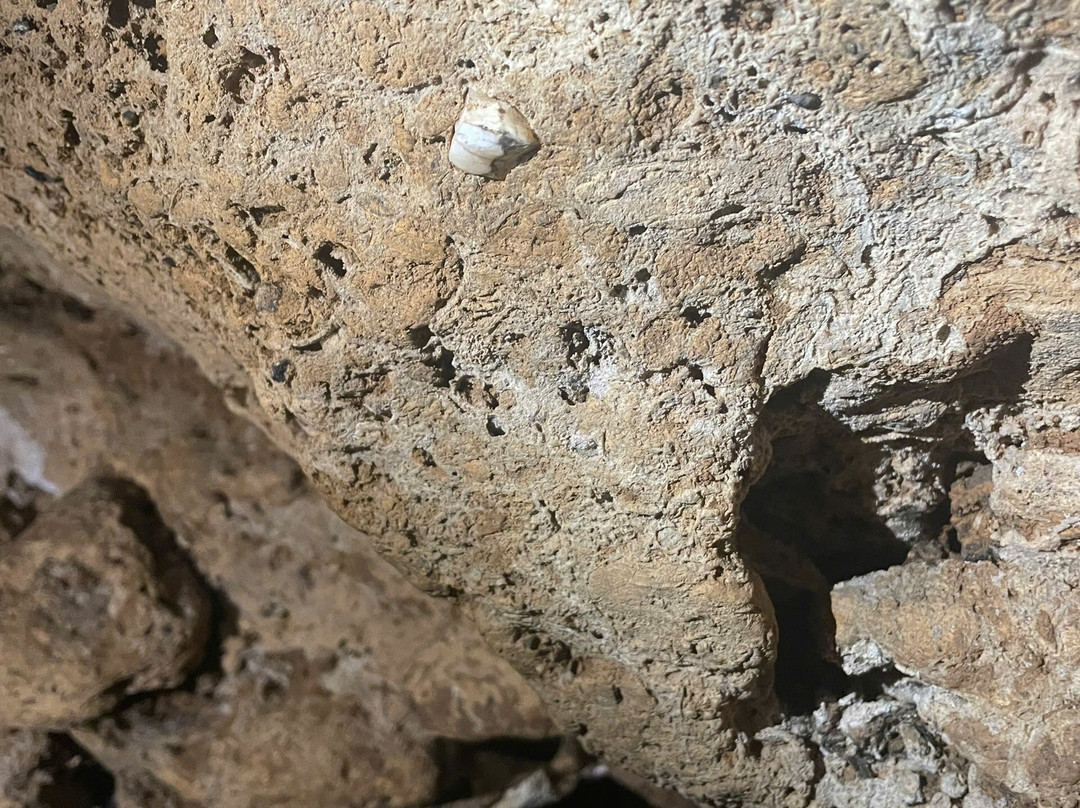 Hoa Cuong Cave-Gia Luan必去景点