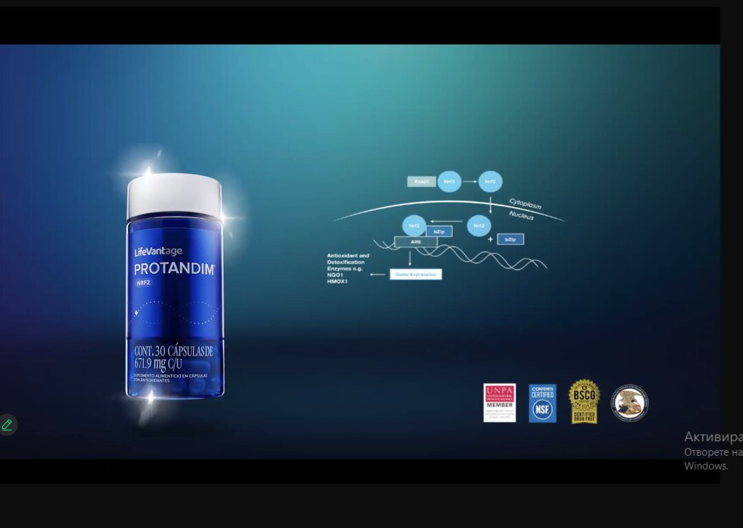 TOP RENT A CAR BULGARIA-索非亚必去景点