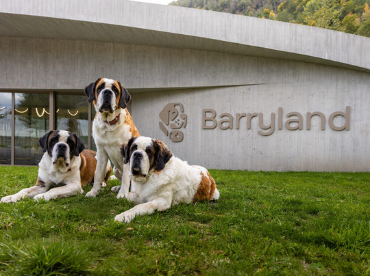 Barryland - Musée Et Chiens Du St-bernard-马蒂尼必去景点