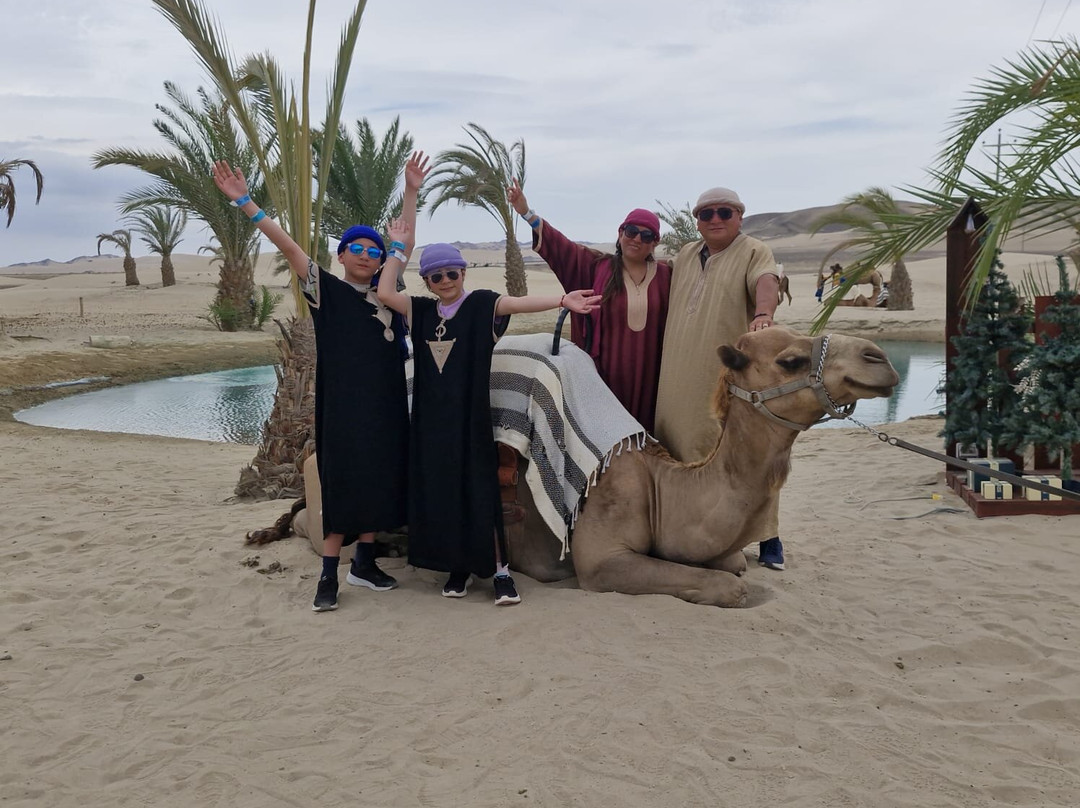 Dromedarius-伊卡必去景点