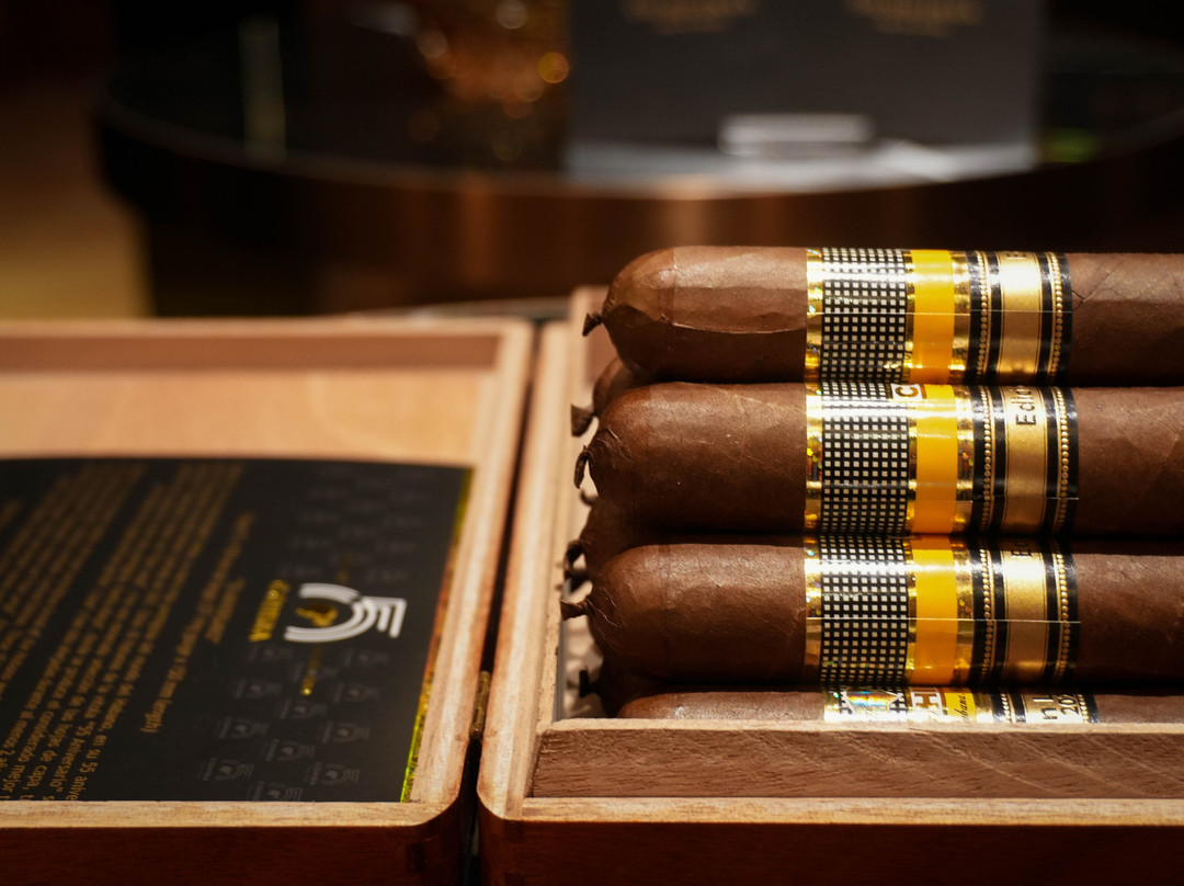 Cigarbar Shishu Enka