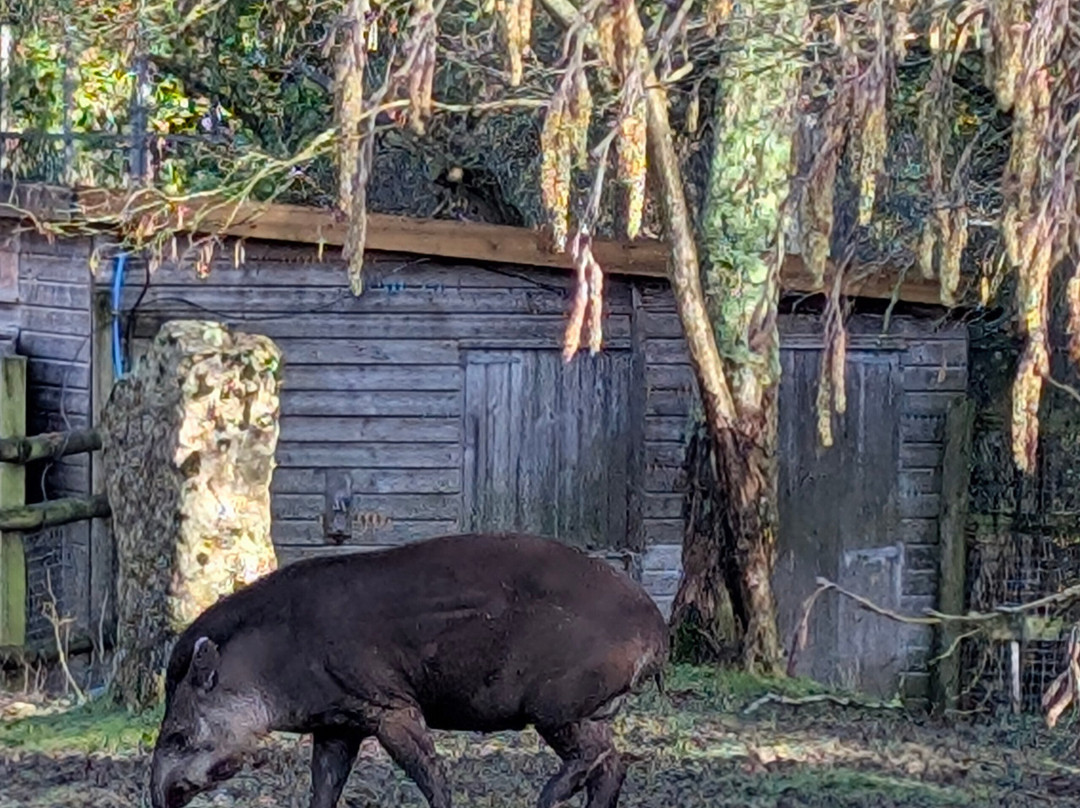 Newquay Zoo-纽奎必去景点