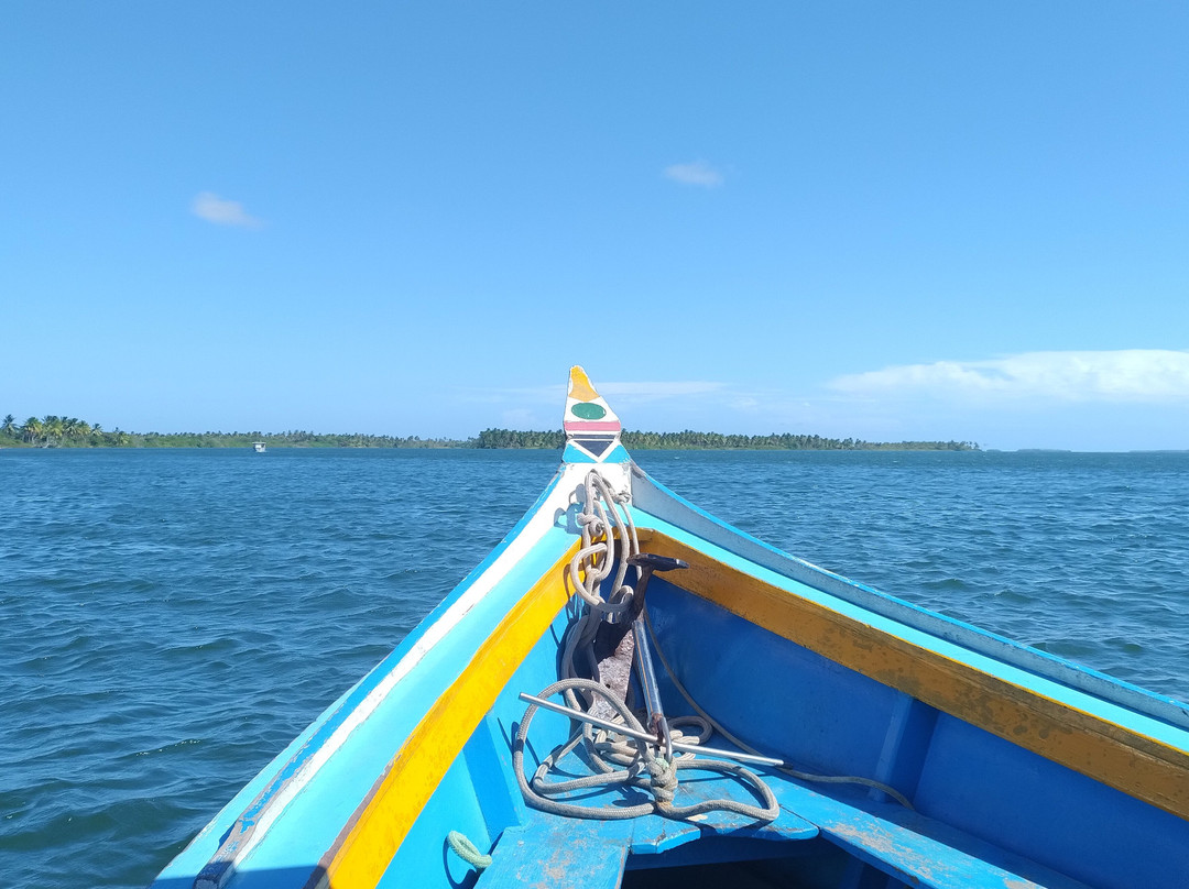 Farol da Foz Ecoturismo-Piacabucu必去景点