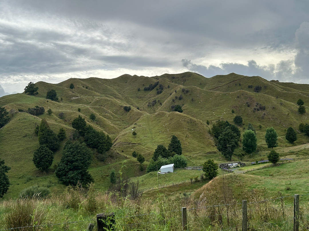 Forgotten World Adventures-Taumarunui必去景点