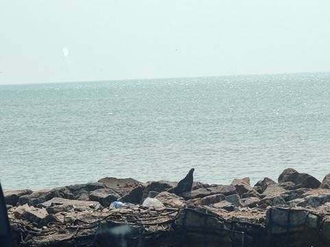 Deejohn Holidays India Tours-新德里必去景点