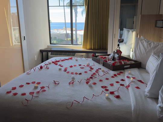 SpringHill Suites by Marriott San Diego Carlsbad主图