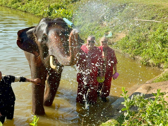 大象生态公园-清迈必去景点