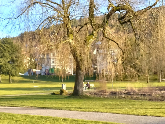 Schweizer Wiese-巴特黑雷纳尔布必去景点