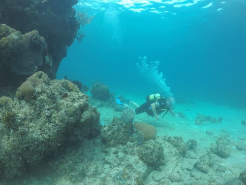 UnderwaterCuba-巴拉德罗必去景点