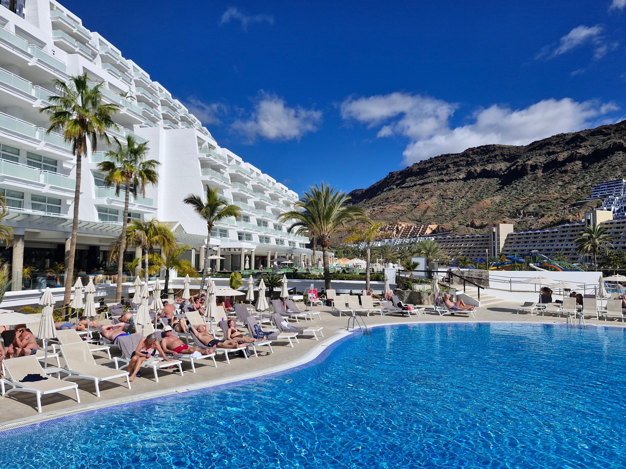 Princess Taurito-官方