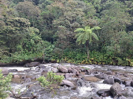 Eco Hotel La Cabana主图