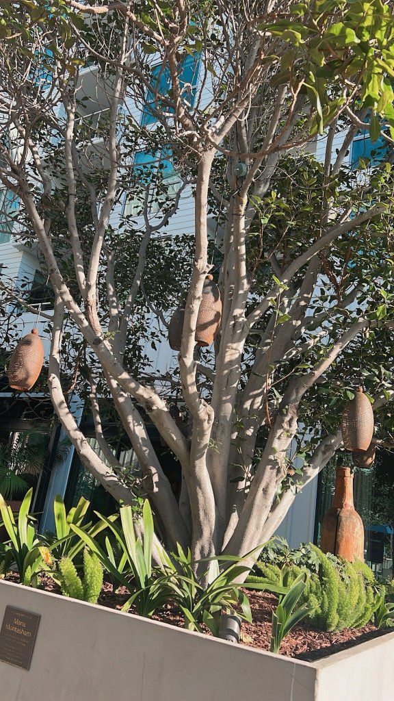 Mission Pacific Beach Resort-官方