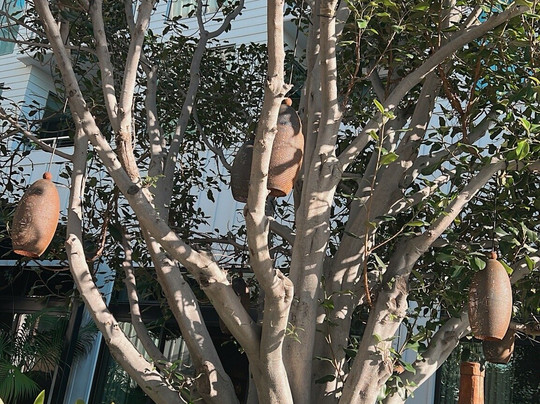 Mission Pacific Beach Resort主图