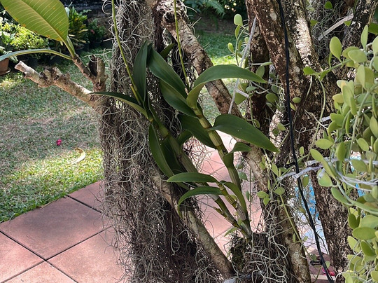 莫纳布丽精品度假村主图