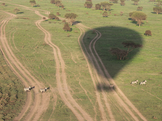 Nyssa Balloon Safaris-Seronera必去景点