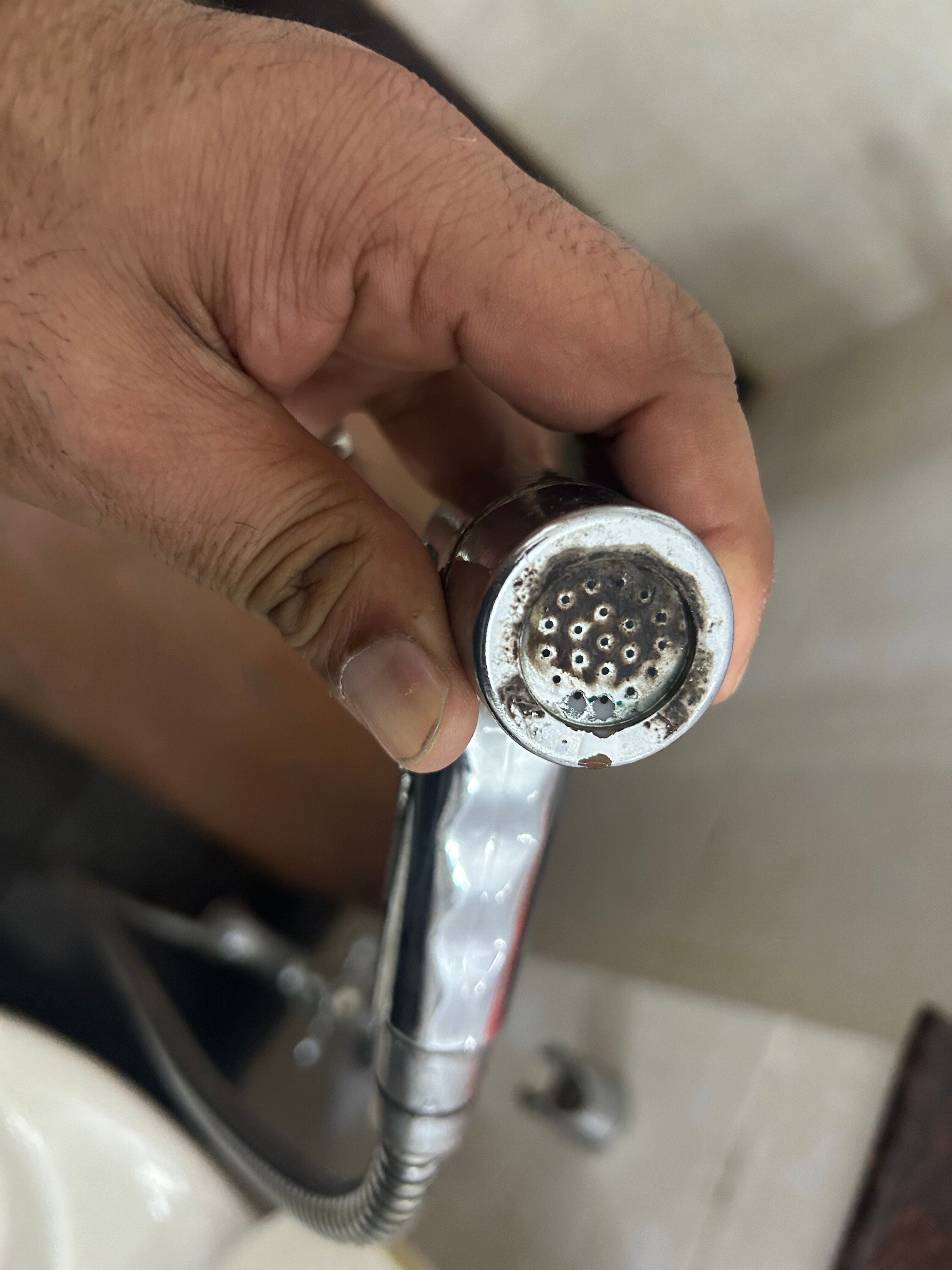 比希瓦拉特纳酒店-官方