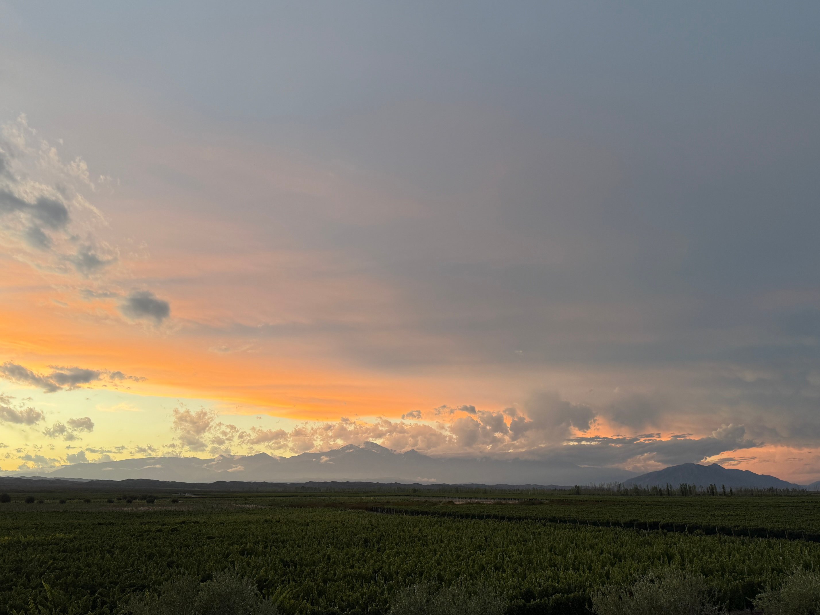 Rosell Boher Winery Lodge & Spa-官方