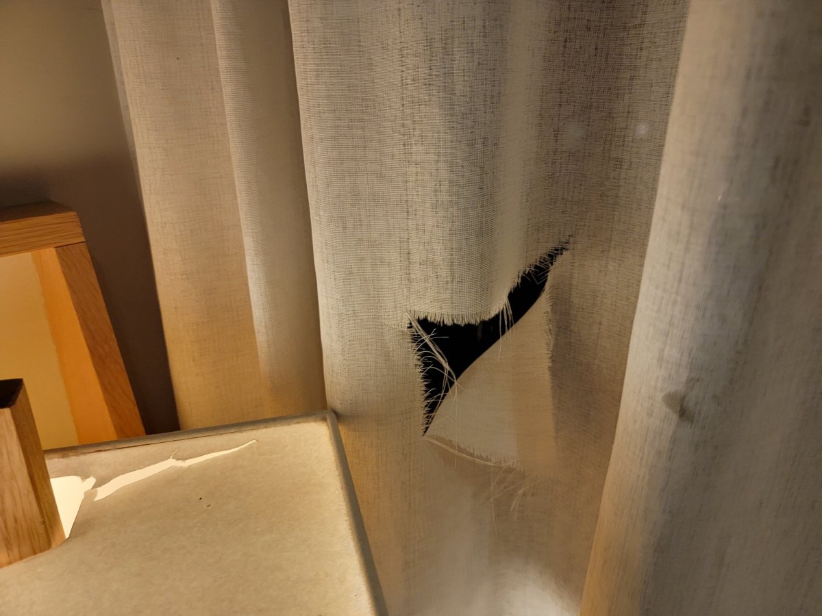 纽卡斯尔杰斯蒙德凯恩酒店-客卧