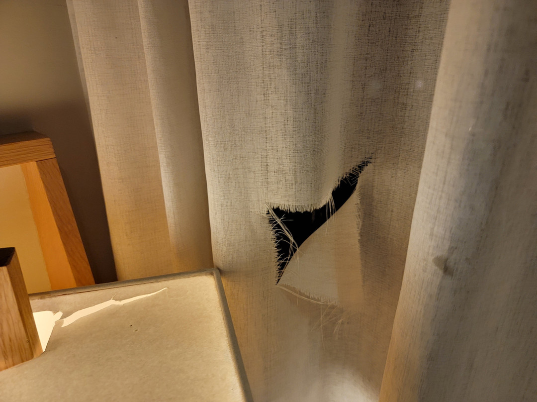 纽卡斯尔杰斯蒙德凯恩酒店主图