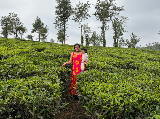 Tea Town Kerala - Wayanad-Chundale必去景点