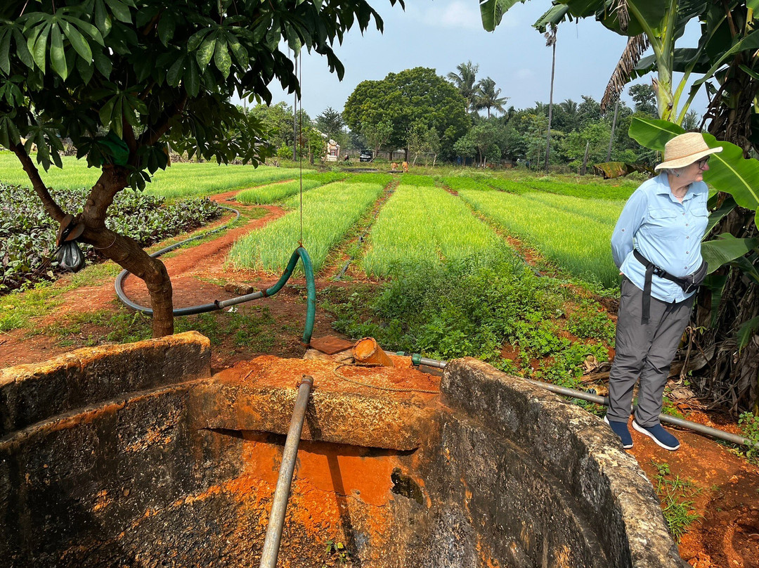 Thinnai Organic Farm主图