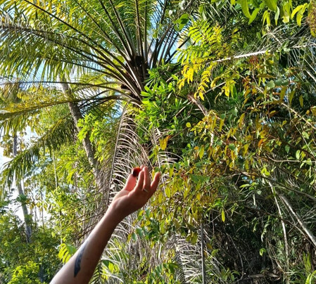Aventura Eco Brasil-Barra de Sao Miguel必去景点