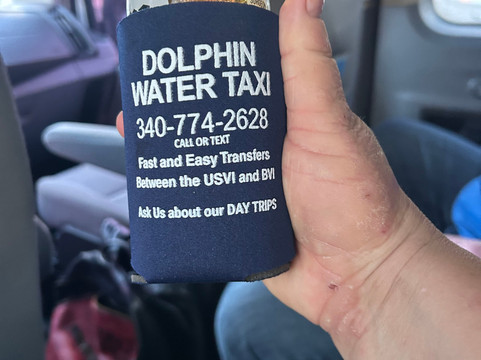 Dolphin Water Taxi-圣 托马斯必去景点