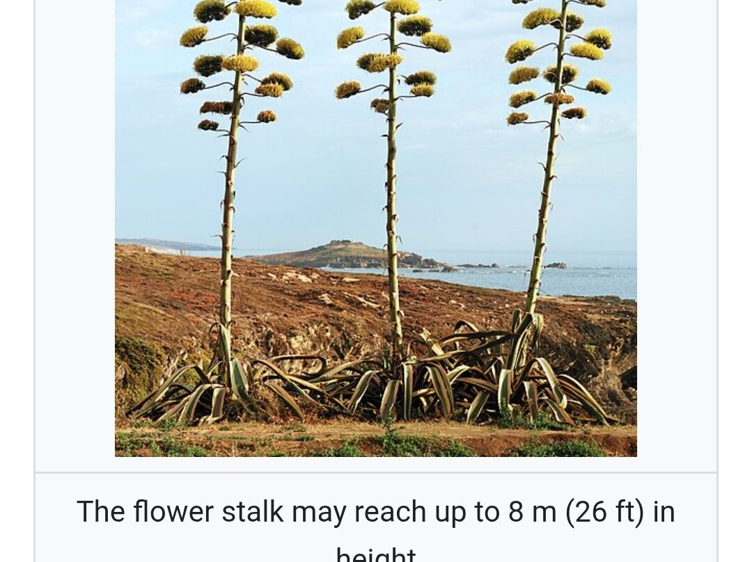 J. Kenneth Smith Bird Sanctuary & Nature Center-罗斯威尔必去景点