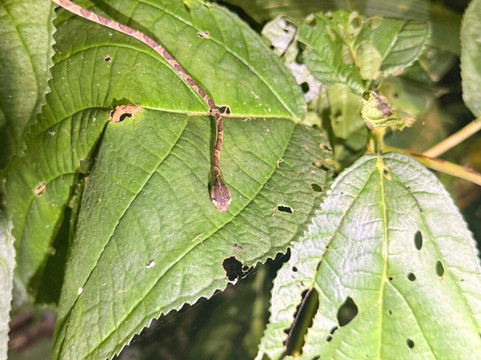 Caribe Fun Tours-旧港必去景点