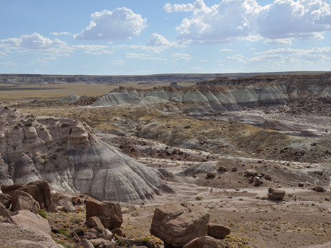 Petrified Forest National Park-霍尔布鲁克必去景点