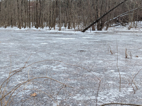 Aspen Grove Park-富兰克林必去景点