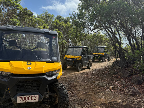 Hamilton Island Offroad Adventures-汉密尔顿岛必去景点