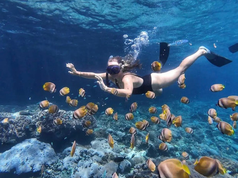 Segare Bali Tour - Private Day Tours-登巴萨必去景点