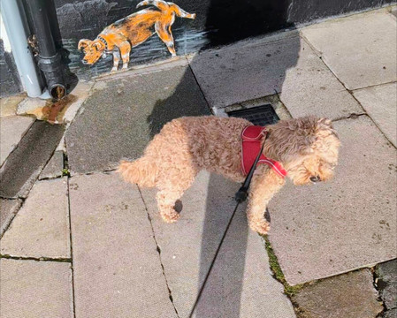 The Cosmopolitan Hotel主图