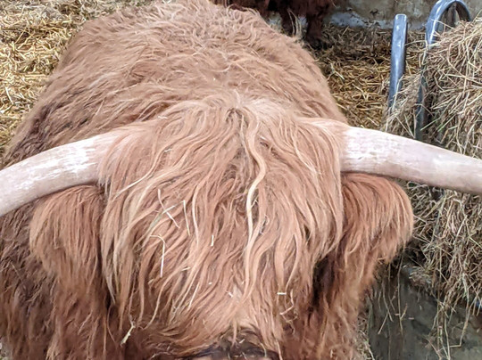 Colready Highlands-Brackley必去景点