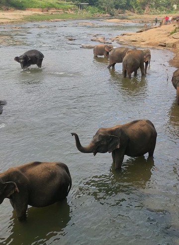 大象海湾酒店主图