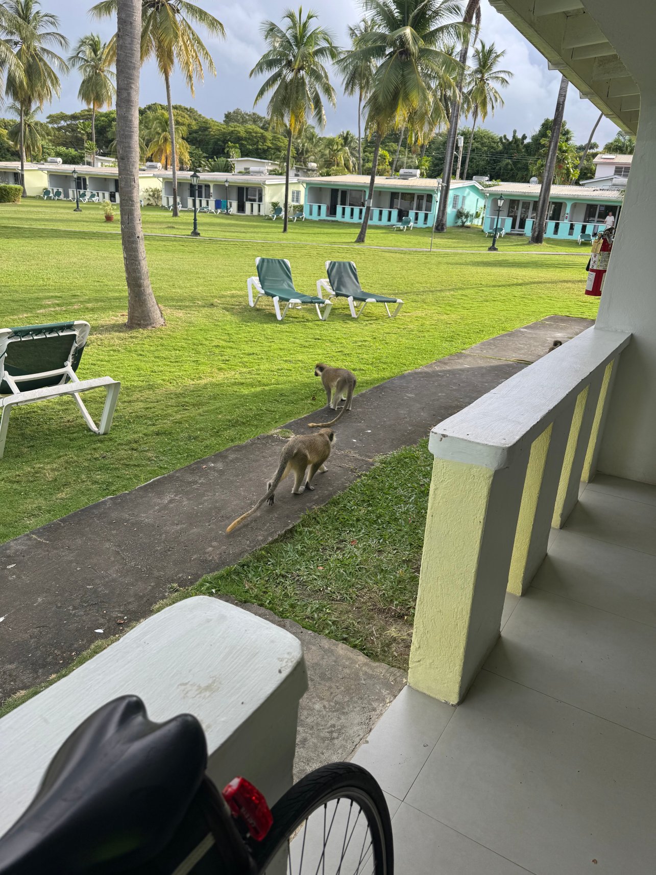 全季度假村-浴室