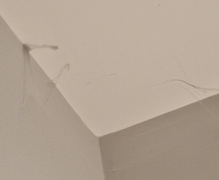 森特姆宫假日酒店主图