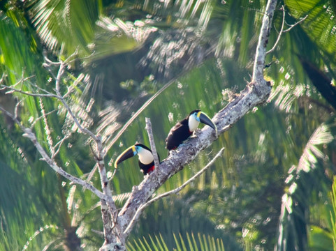 Rebecca Adventure Travel-阿约拉港必去景点