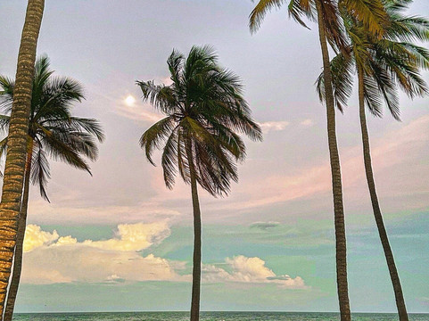 Hideaway Restaurant - Karpaha Sands