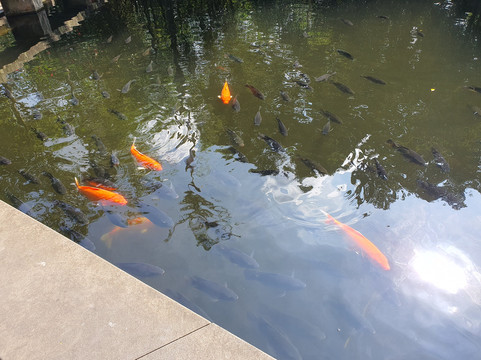 海口石山火山群-海口市必去景点
