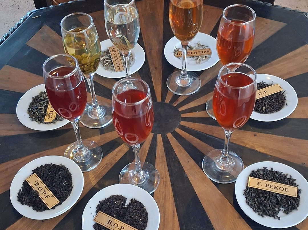 HelaCey Journeys - Sri Lanka-Gampaha必去景点