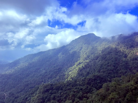 Jungle Boss Tours-峰牙－己榜国家公园必去景点