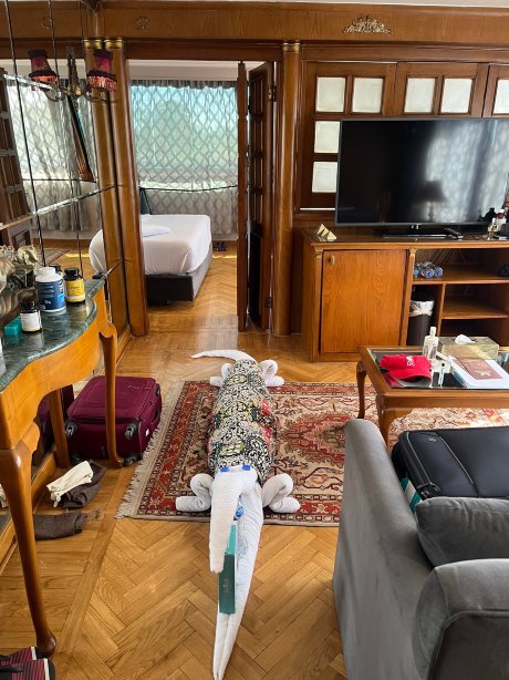 SUNRISE M/S Terramar-官方