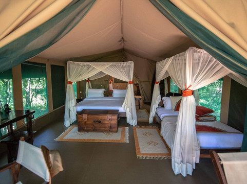 Kenya Wild Parks-内罗毕必去景点