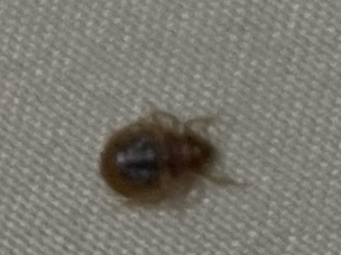 大学城舒适套房酒店主图