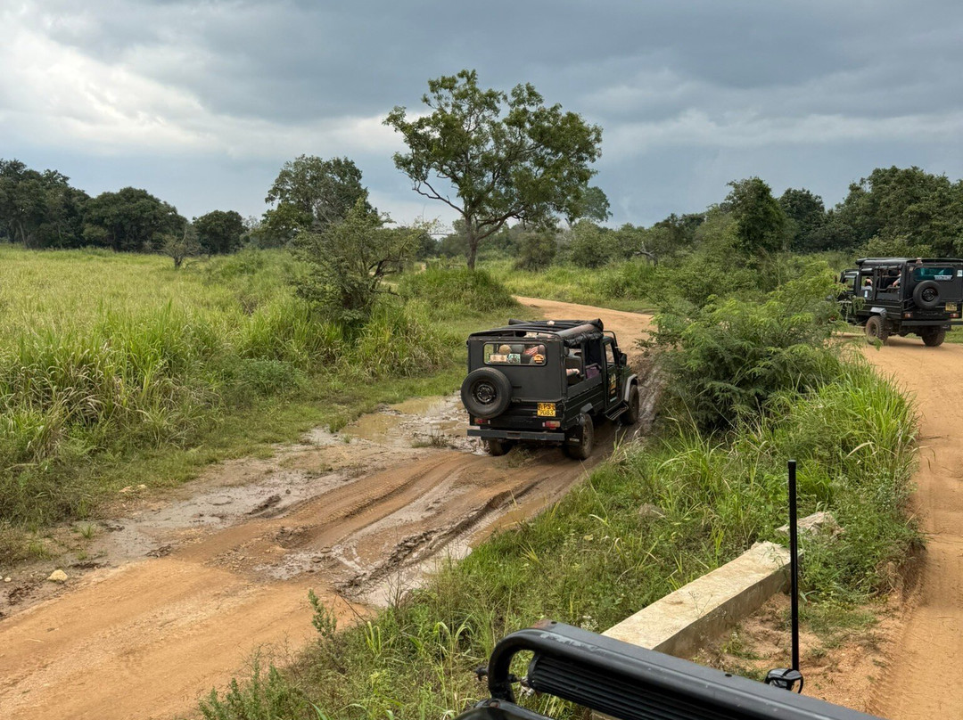 Lakshan jeep safari habarana-哈巴拉娜必去景点